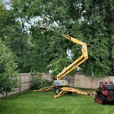 Best Landscape Design and Installation  in Englewood, TN