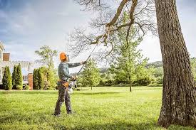 Best Seasonal Cleanup (Spring/Fall)  in Englewood, TN