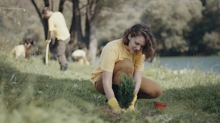 Best Lawn Renovation and Restoration  in Englewood, TN