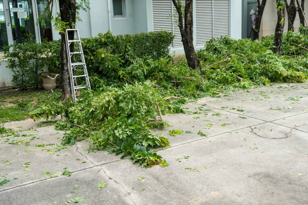 Best Lawn Maintenance Plans  in Englewood, TN